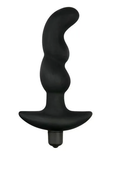 9319MSIS Sissy Boy Rocks Your World Vibrating Silicone Prostate Stimulator Moonwell Male Sex Toys
